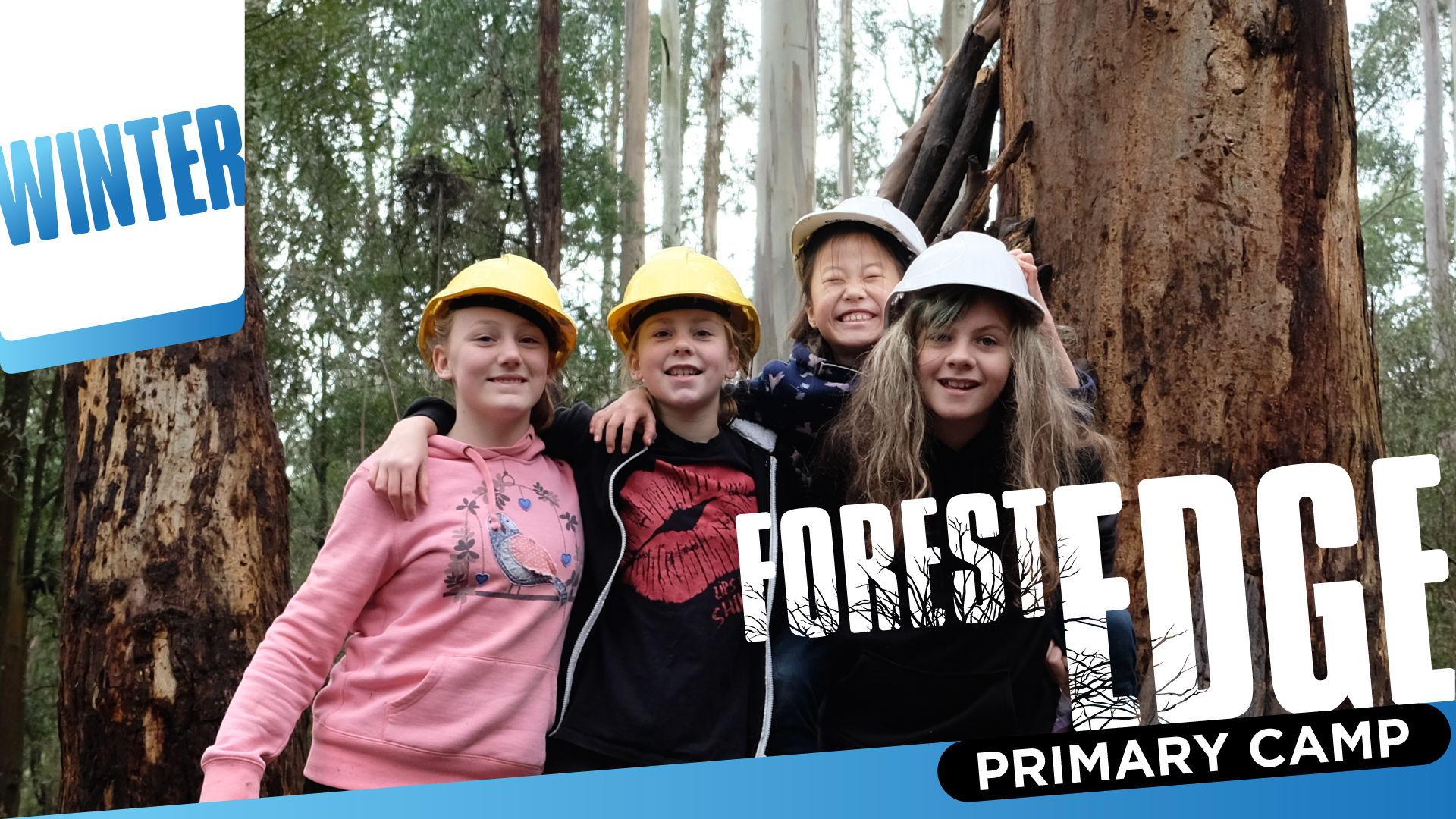 Forest Edge Winter Primary Camp