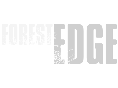 Forest Edge
